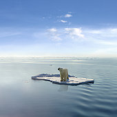 The last Polar Bear
