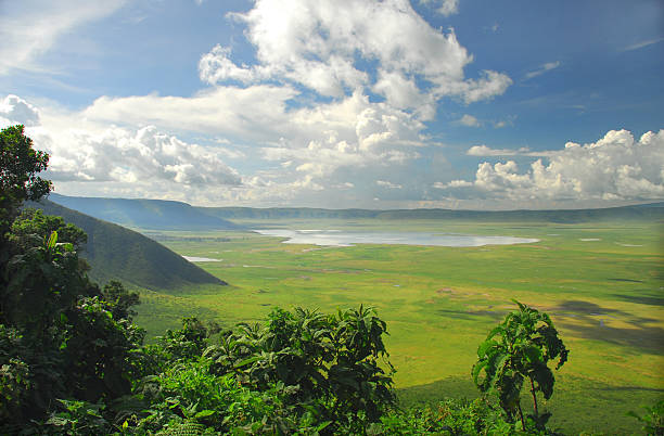 the ngorongoro crater conservation area in tanzania picture id172176508?k=20&m=172176508&s=612x612&w=0&h=NfFGcXrHDrYTWLDu h8 EjfQf4B5E4fjORnyRTYGbzQ=