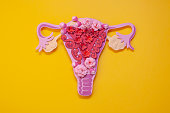 The women's reproductive system. The concept of endometriosis of the uterus.