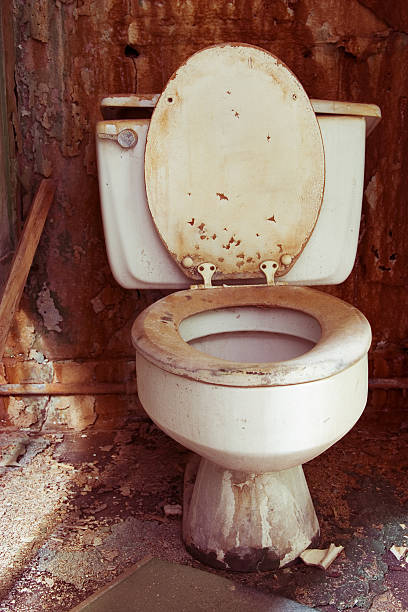 toilet grunge - poop in toilet stock pictures, royalty-free photos & images