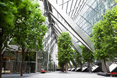 Trees and Office Buildings