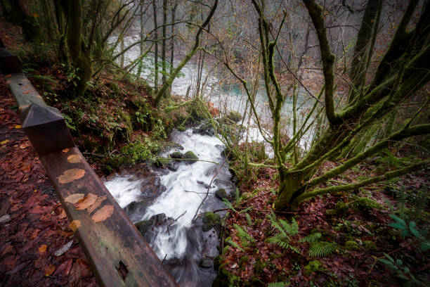 Union of two rivers,High angle view of waterfall in forest,Fragas do Eume,Spain