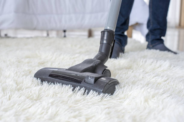 professional carpet cleaning