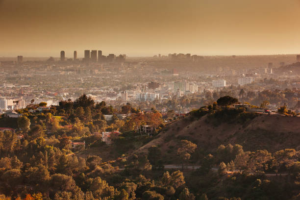 view of downtown los angeles city from griffith observatory picture
