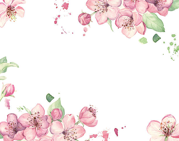wedding invitation with watercolor pink flowers picture id469993382?k=6&m=469993382&s=612x612&w=0&h=XjFlCTnCkjOIvIYmgUwj0 2kMRZPVgbSjDHRsF7b2k0=