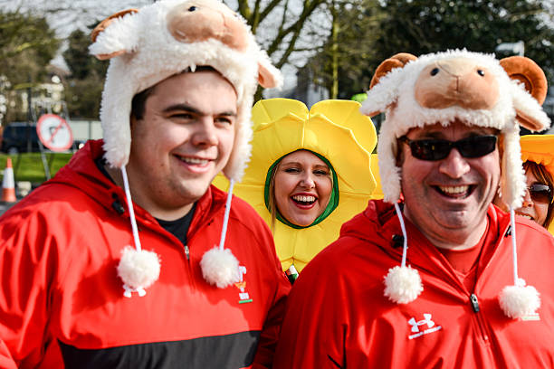 Image result for welsh rugby fans