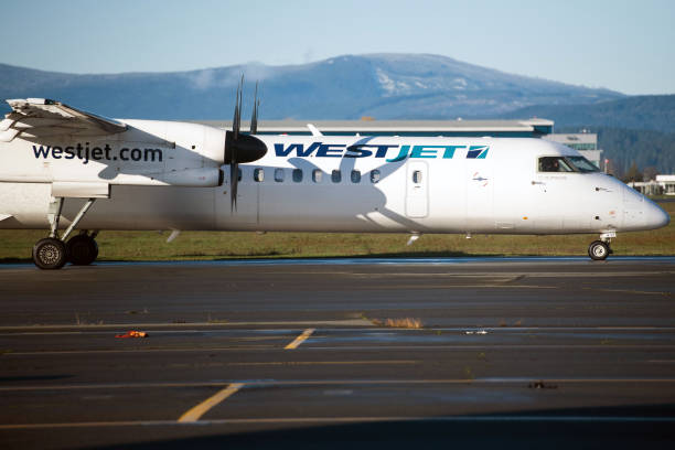 westjet airlines ltd airplane taxis on the runway at victoria in picture