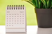 White August 2021 calendar with green backgrounds and potted plant. 2021 New Year Concept