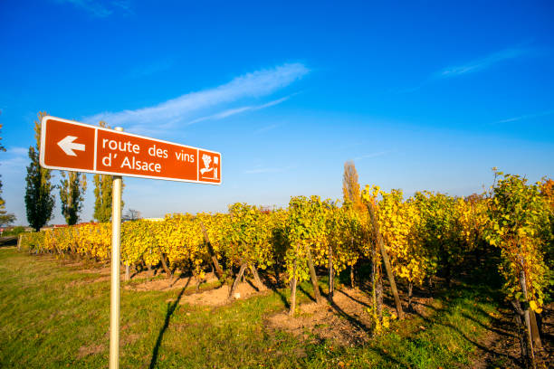 wine route sign in alsace - alsace wine stock pictures, royalty-free photos & images