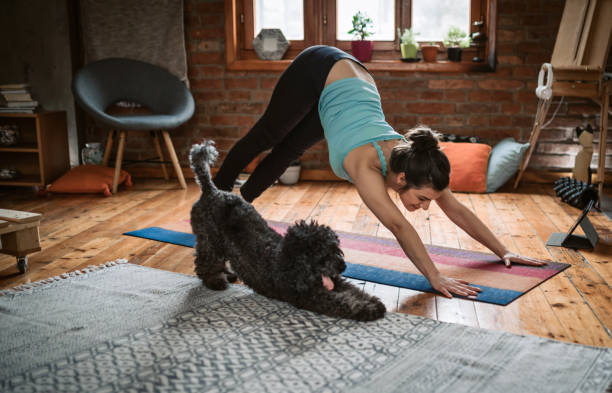 woman doing yoga with her dog - beautiful dog stock pictures, royalty-free photos & images