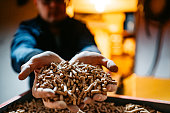 Wood pellets in hands