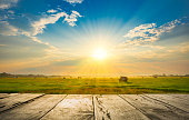 wooden floor beside green rice field in the morning with sunray
