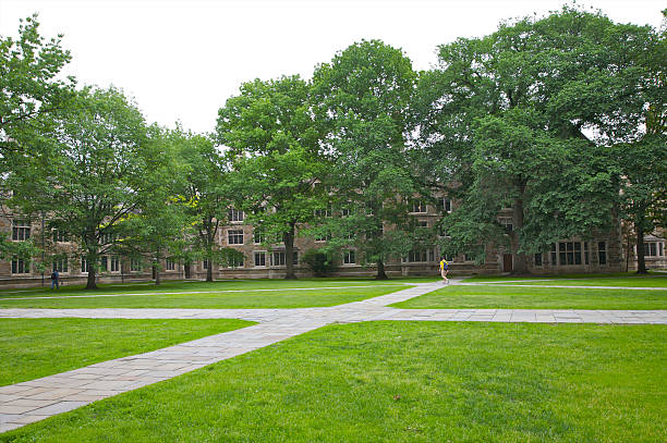 xshaped lawn in law quad at umichigan picture id498745451?k=20&m=498745451&s=612x612&w=0&h=sOzPFTqwBDn0g7C9 oCGS2IFnQVt4cpU9v FTCUz8WM=