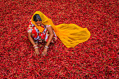 Young Indian woman sorting red chilli peppers, Jodhpur, India