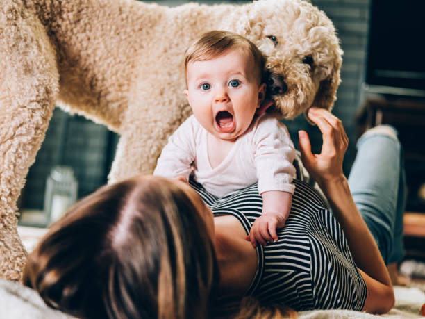 young mother and baby girl play time - beautiful dog stock pictures, royalty-free photos & images