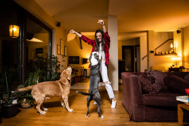 young woman enjoys with her pets at home stock photo - pet sitter stock pictures, royalty-free photos & images