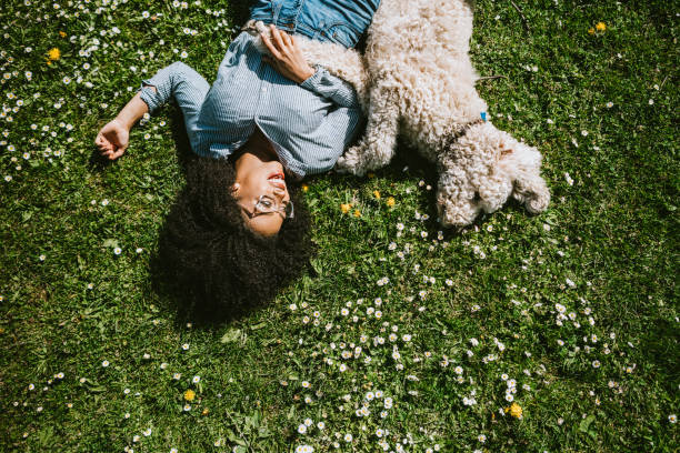 a young woman rests in the grass with pet poodle dog - beautiful dog stock pictures, royalty-free photos & images