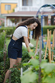 young woman with curly hair harvesting