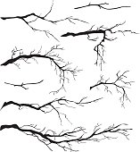 An Assortment of Bare Tree Isolated Branches Silhouettes