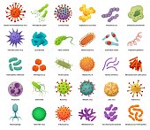 Bacteria and virus icons. Disease-causing bacterias, viruses and microbes. Color germs, bacterium types vector illustration set