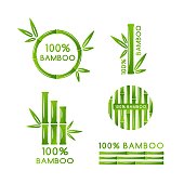 Bamboo decoration collection. Vector isolated design elements.