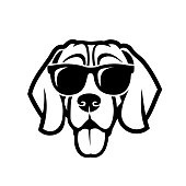Beagle dog wearing sunglasses - isolated outlined vector illustration