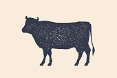 Beef, cow. Poster for Butchery meat shop