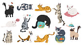 Cartoon cat characters collection. Different cat`s poses, yoga and emotions set. Flat color simple style design