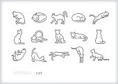 Cat line icons of feline pets, indoor or outdoor, in various actions