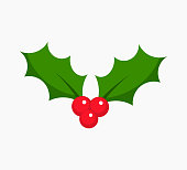 Christmas plant symbol holly berry icon