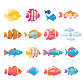 Colorful aquarium fish set vector isolated. Tropical fishes collection