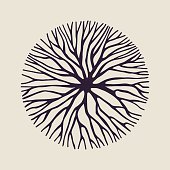 Concept tree branch circle shape illustration