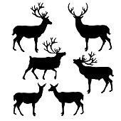 Deer silhouette collection