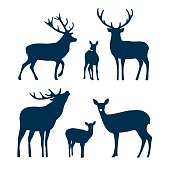 Deer silhouette set. Vector graphic