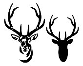 deer stag with big antlers black and white vector portrait