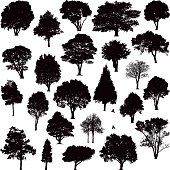 Detailed tree silhouettes