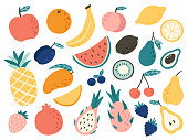 Doodle fruits. Natural tropical fruit, doodles citrus orange and vitamin lemon. Vegan kitchen apple hand drawn vector illustration