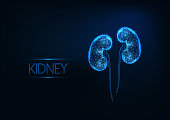 Futuristic glowing low polygonal human kidneys isolated on dark blue background.
