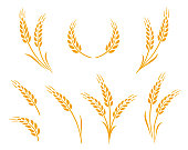 golden wheat ears icons logo set