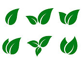 green leaves icon set
