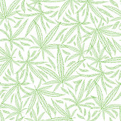 Green outline cannabis leaves textural background. Seamless vector pattern against white backdrop. Hand drawn line art repeat design. Perfect for wellness, health, medical products, packaging, print