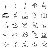 Growing plants. Sprout in the ground. Farming and gardening, icon set. Sprout care, linear icons. Plant in the ground, greenhouse and hydroponic systems. Editable stroke