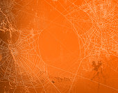 halloween orange wall vector background with spider web