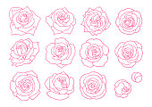 [Hand-drawn vector illustration material] Rose line art set