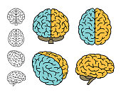 Human brain anatomy. Set of multiple views. Left Brain versus Right Brain. Vector illustration.
