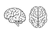 human brain icon set. side and top view. mind, sychology and neurology symbol