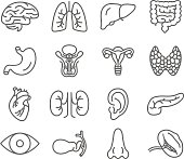 Human Organs Vector Icons Set