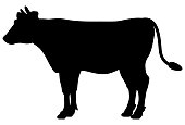 Illustration of a cow silhouette seen from the side