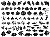 Illustration set of various sea creatures