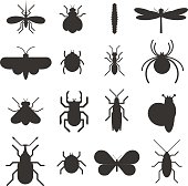 Insect icon black silhouette  flat set isolated on white background